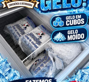 imagem do produto Gelo moído 5 kg