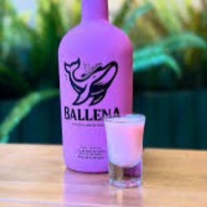 imagem do produto SHOT BALENA