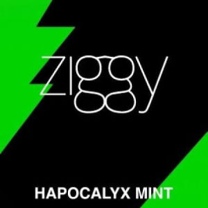 imagem do produto Essência ZGY MENTA