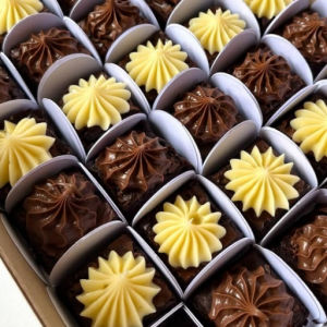 imagem do produto PETIT BROWNIE 50 unidades 