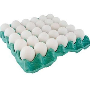 imagem do produto CARTELA COM 30 OVOS