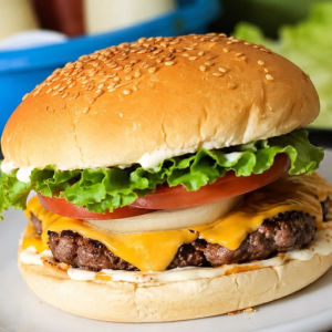 imagem do produto X-SALADA