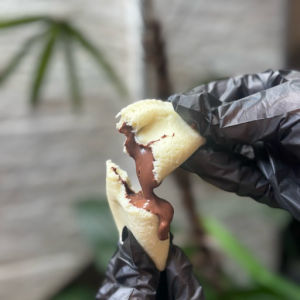 imagem do produto Pastelzinho de nutella