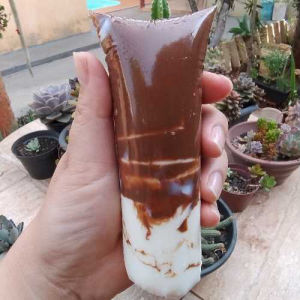 imagem do produto Geladão Gourmet Ninho com Nutella