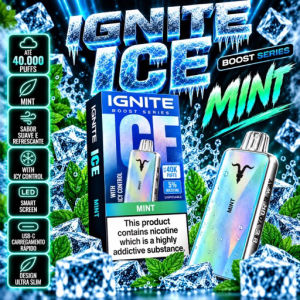 imagem do produto V400ice Mint
