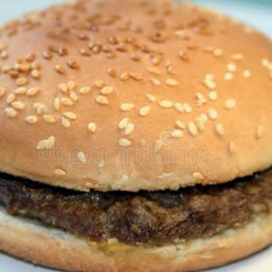 imagem do produto Hambúrguer simples 